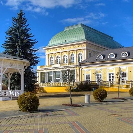 Penzion U Modreho Slona Františkovy Lázně Buitenkant foto