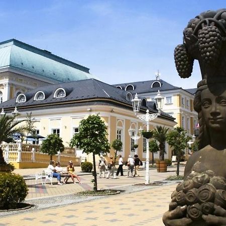 Penzion U Modreho Slona Františkovy Lázně Buitenkant foto