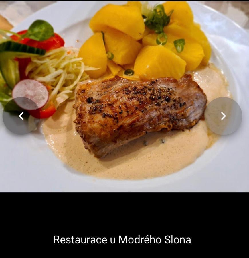 Penzion U Modreho Slona Františkovy Lázně Buitenkant foto